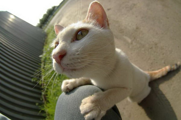 ����������