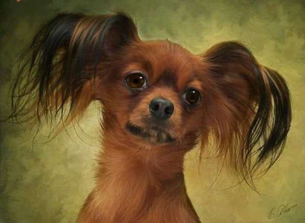 ���������� ������