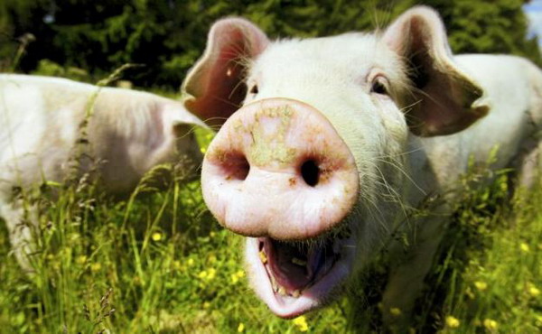 ��� �������� ��������. ����� 4