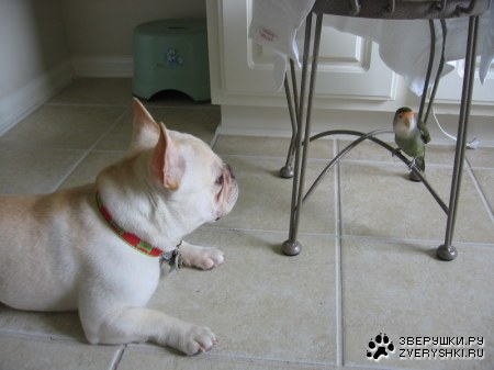 ��� � �������������!