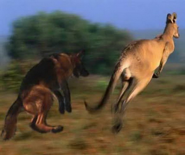 ������������