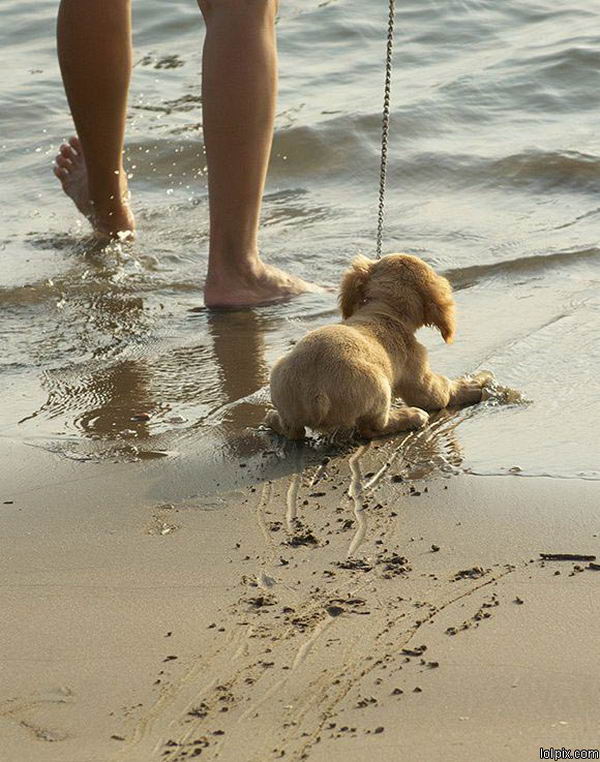 ���������� �������