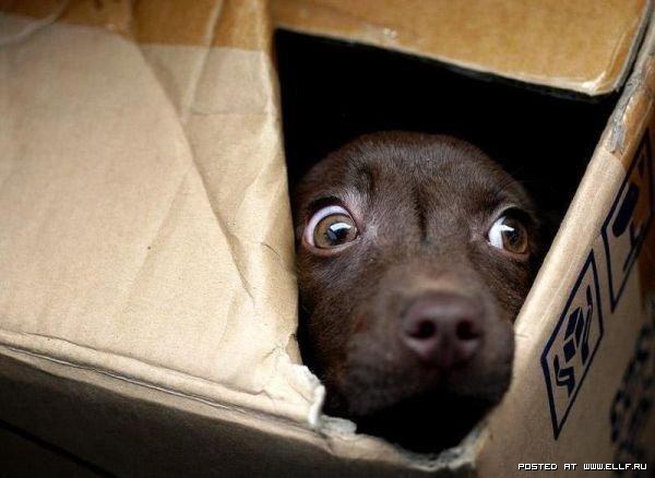 ���������� �������