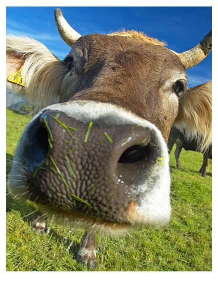 �������� �����