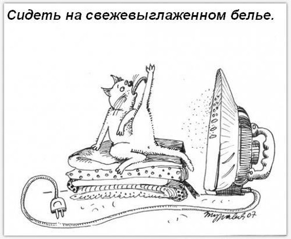 ���������� ����� � ����