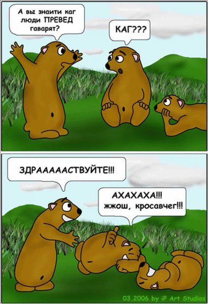 ��� ��������