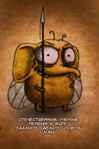 ������� ��������