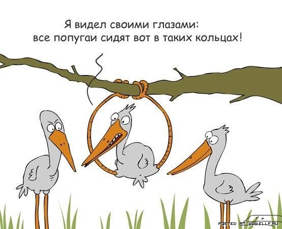 �������� ��������