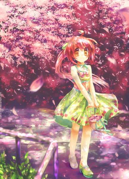 �������� �����