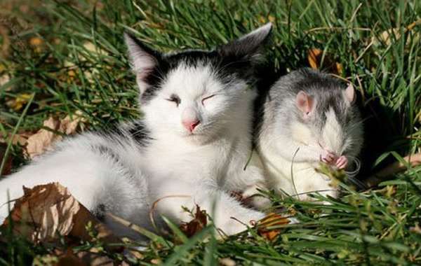 ��������� ������