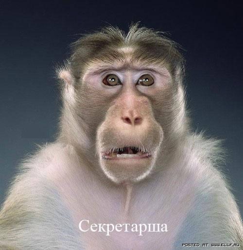 ������������...