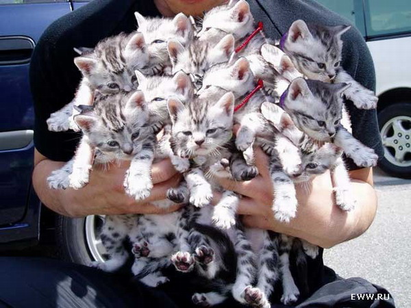 ��������� ������