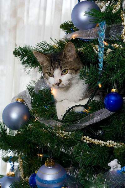 ���� � �����