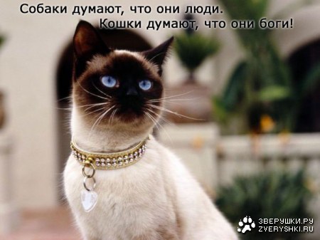 ��� ������ � ������