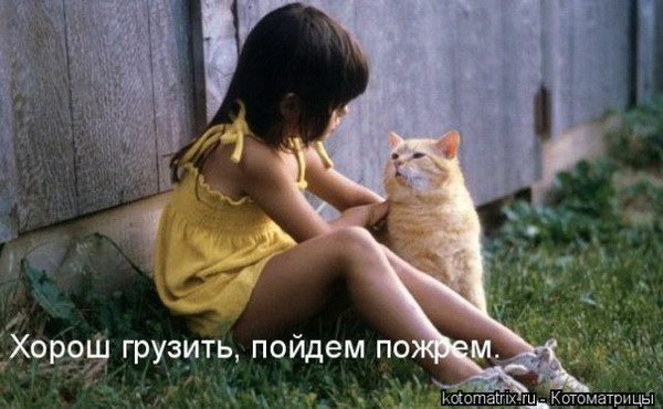 ����� ��������