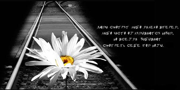 ���������� ������ �� ������� ����