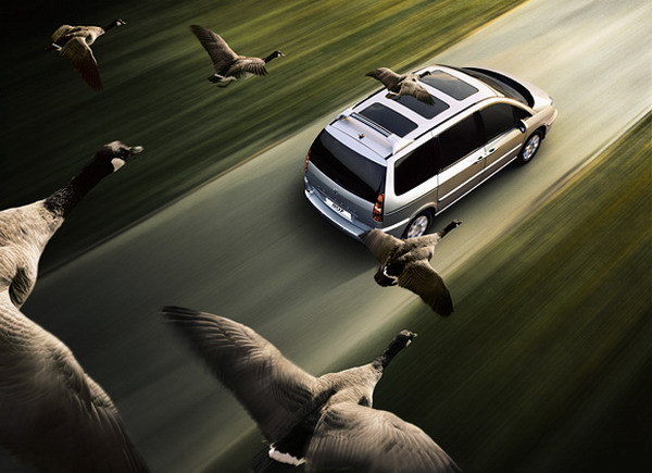 ������� Andy Glass