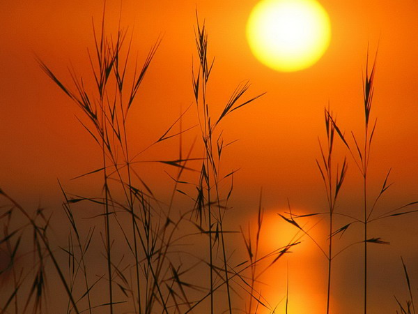 ���� ���