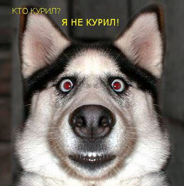 ��������� �����...