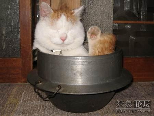 ���, ������� ����� ����� �����