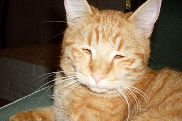 ������� ����!