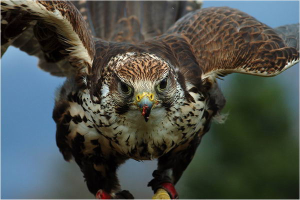 ����� ��������, �� ����� �������������