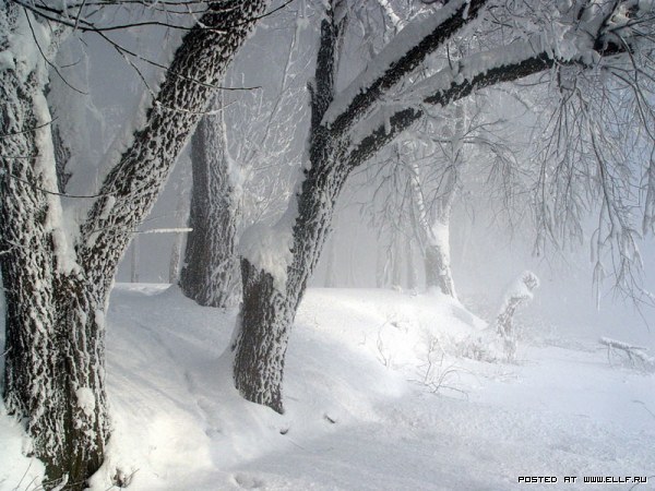 ������� - ����