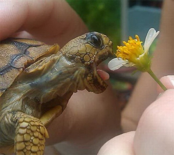 ������������