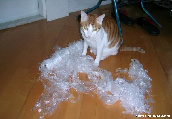 ���� � ������