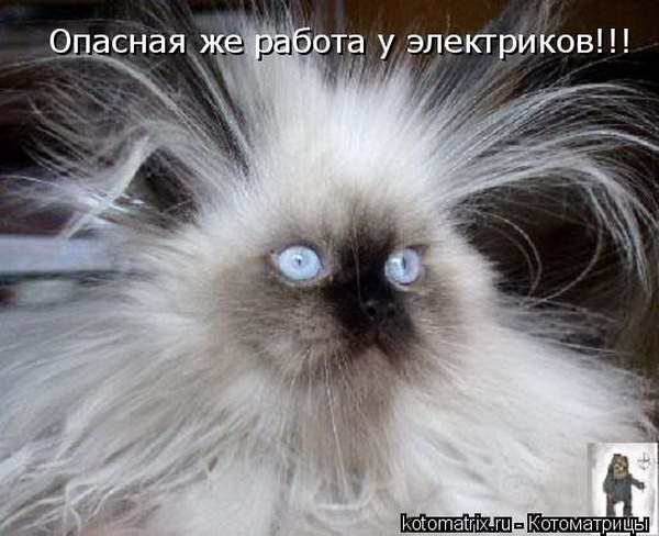 ����������� �.3