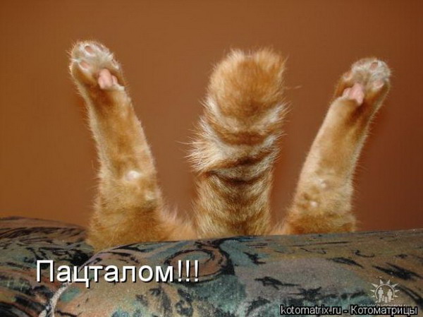 ����������� �.2