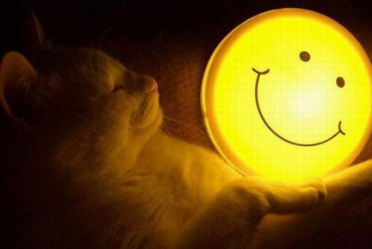 ����� ��������..